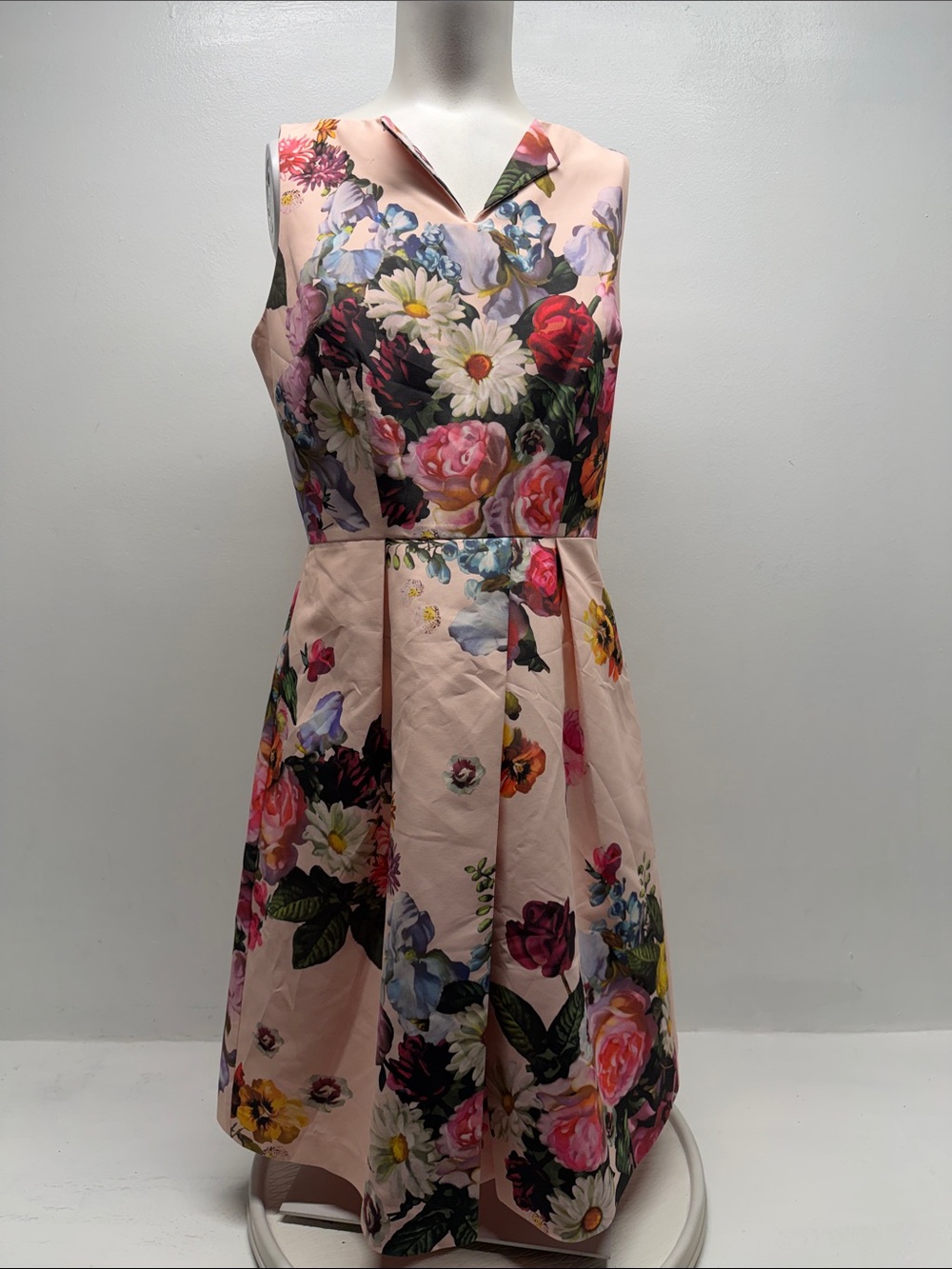 Ted Baker Deavon Oil Painting Dress Fit N Flare V Neck Pleated Floral Pink NWT 6